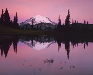 Images Dated 10th November 2009: USA, Washington, Mt. Rainier National Park, Dawn at Tipsoo Lake