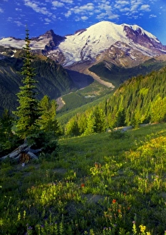 Images Dated 3rd September 2009: USA, Washington, Mt. Rainier National Park