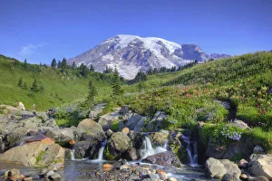Images Dated 17th August 2009: USA, Washington, Mt. Rainier NP, Mt. Rainier and Edith Creek