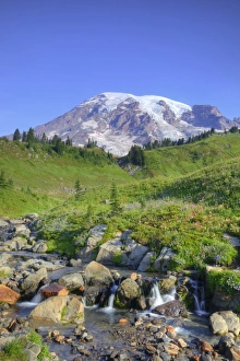 Images Dated 17th August 2009: USA, Washington, Mt. Rainier NP, Mt. Rainier and Edith Creek