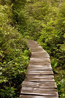 Pathway Prints: USA, Washington, Neah Bay, Cape Flattery boardwalk