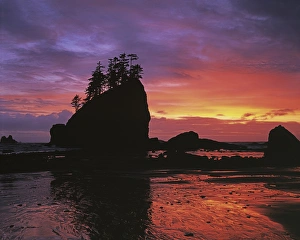 USA, Washington, Olympic National Park, Coastal Sunset