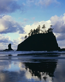 USA, Washington, Olympic National Park, Sunrise on coast