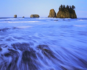 Images Dated 11th June 2013: USA, Washington, Olympic National Park, Surf at high tide, Second Beach