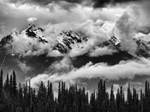 Images Dated 17th May 2014: USA, Washington, Olympic National Park, Mount Carrie and Carrie Glacier through