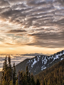 Images Dated 18th May 2014: USA, Washington, Olympic National Park, View looking northeast from road to Hurricane