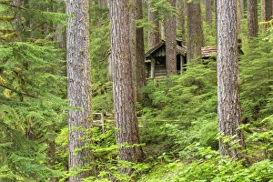 Images Dated 20th June 2013: USA, Washington, Olympic National Park. Forest cabin shelter