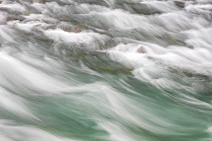 USA, Washington, Olympic National Park. North Fork Skokomish River - Washington