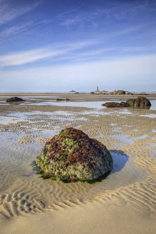 Images Dated 23rd June 2009: USA, Washington, Olympic National Park, Second Beach, Rippled sand at low tide