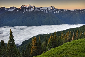 USA, Washington, Olympic National Park. View of Mt. Olympus from the High Divide