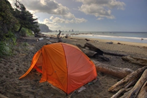 Images Dated 28th June 2009: USA, Washington, Olympic National Park, Third Beach, Beach camping