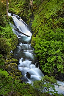 Images Dated 18th November 2012: USA, Washington, Olympic National Park. The Sol Duc River Gorge