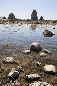 Images Dated 29th June 2009: USA, Washington, Olympic National Park, Cape Alava, Seastacks