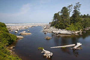 Images Dated 26th June 2009: USA, Washington, Olympic National Park, Kalaloch Creek empties into the Pacific Ocean