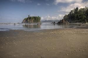 Images Dated 26th June 2009: USA, Washington, Olympic National Park, Ruby Beach, Shoreline and Abbey Island