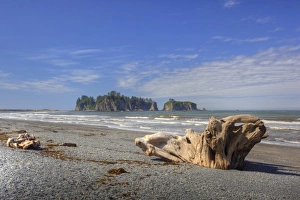 USA, Washington, Olympic National Park, Rialto Beach, Driftwood and James Island