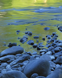 Olympic Park Prints: USA, Washington, Olympic Natoinal Park, Reflections in the Elwha River