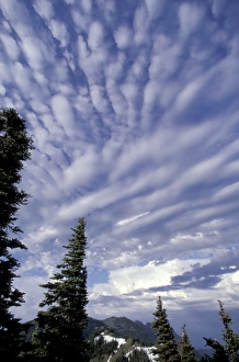 Images Dated 3rd December 2004: USA, Washington, Olympic NP Afternoon clouds atop Hurricane Ridge