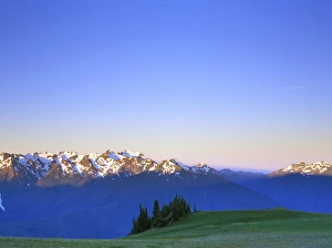 Olympics Prints: USA, Washington, Olympic NP, Dawn at Hurricane Hill