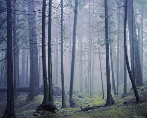 USA, Washington, Orcas Island, Moran State Park