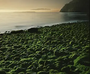 USA, Washington, Orcas Island, Stone beach at low tide