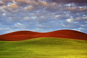 Farm Land Prints: USA, Washington, The Palouse