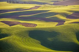 Rolling Prints: USA, Washington, Palouse, Aerial view, Rolling farmland