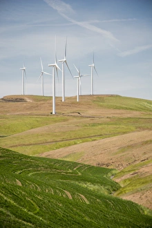 Powerful Prints: USA: Washington, Palouse, Columbia County