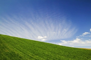 Images Dated 15th June 2005: USA, Washington, Palouse Country, Hillside of Wheat with Streaming Finger Clouds