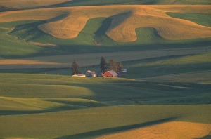 USA, Washington, Palouse County, Steptoe Butte. Red barn with rolling green and gold