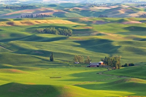 Images Dated 28th May 2015: USA, Washington, Palouse Hills. Farmland viewed from Steptoe Butte