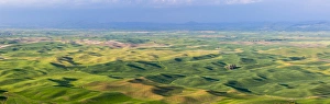 Cultivated Prints: USA, Washington, Palouse Hills. Panorama of farmland
