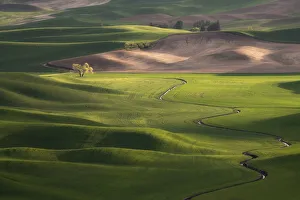 USA, Washington, Palouse. Rolling spring wheat fields