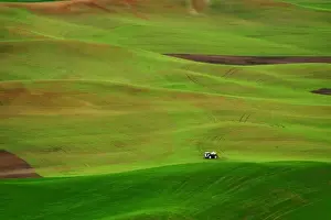 Watering Prints: USA, Washington, Palouse. A watering truck works the wheat fields in Washington s