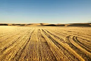 Walla Walla Prints: USA, Washington, The Palouse. Wheatfields of the Palouse photographed from a hot