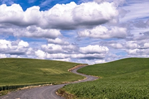 Winding Prints: USA, Washington, Palouse, winding road, farm