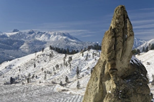 Rock Climbing Prints: USA, Washington, Peshastin Pinnacles State Park. Jutting rock towers above wintry orchard