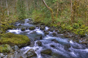 Images Dated 12th April 2012: USA, Washington, Rocky Brook Falls. Scenic of stream cascading over rocks. Credit as