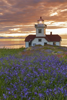 Images Dated 5th May 2014: USA, Washington, San Juan Islands. Patos Lighthouse and camas flowers at sunset. Credit as