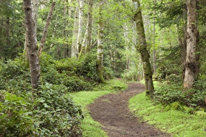 Images Dated 4th May 2012: USA, Washington, San Juan Islands. Trail through woods on Stuart Island. Credit as