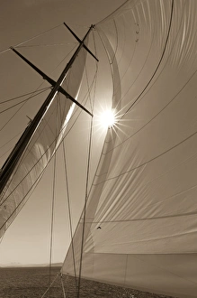Images Dated 7th May 2016: USA, Washington, San Juan Islands. B&W of sunburst on sails