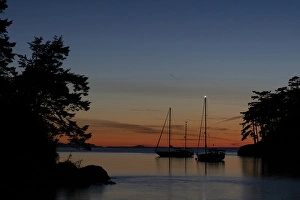Images Dated 9th May 2016: USA, Washington, San Juan Islands. Sailboats in Active Cove at sunset. Credit as