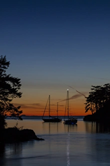 USA, Washington, San Juan Islands. Sailboats in Active Cove at sunset. Credit as