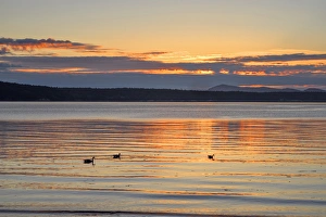 USA, Washington, San Juan Islands, Orcas Island, Sunset from West Beach over Waldron Island