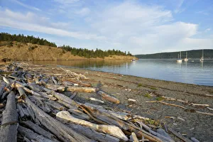 Gravel Prints: USA, Washington, San Juan Islands, Lopez Island, Driftwood logs on the gravel beach
