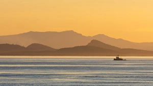 Tugboat Prints: USA, Washington, San Juan Islands. Tugboat at sunset