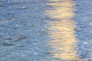Olympic Prints: USA, Washington. Scenic of Quinault River in the Olympic National Park. Credit as