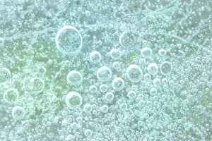 Aqua Prints: USA, Washington, Seabeck. Bubbles frozen in ice