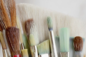 Images Dated 30th June 2012: USA, Washington, Seabeck. Close-up of artists brushes