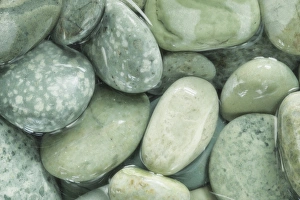 Pebble Prints: USA, Washington, Seabeck. Close-up of wet rocks